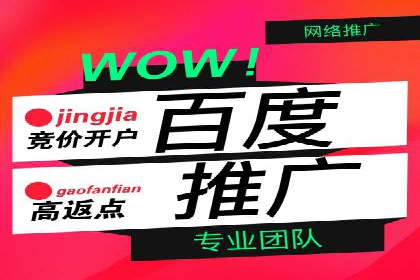 案例对比：不同竞价广告平台的优劣